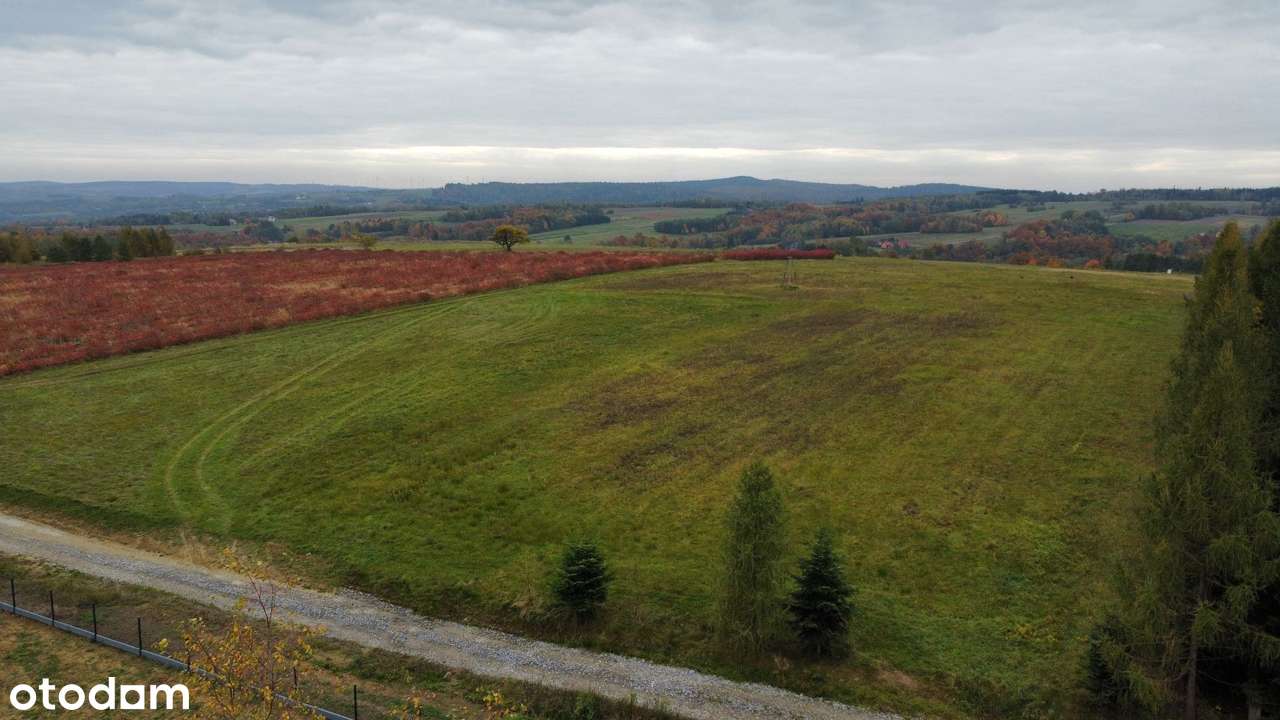 działka Widokowa _ południowy stok - Pełny obrazek: 4/5