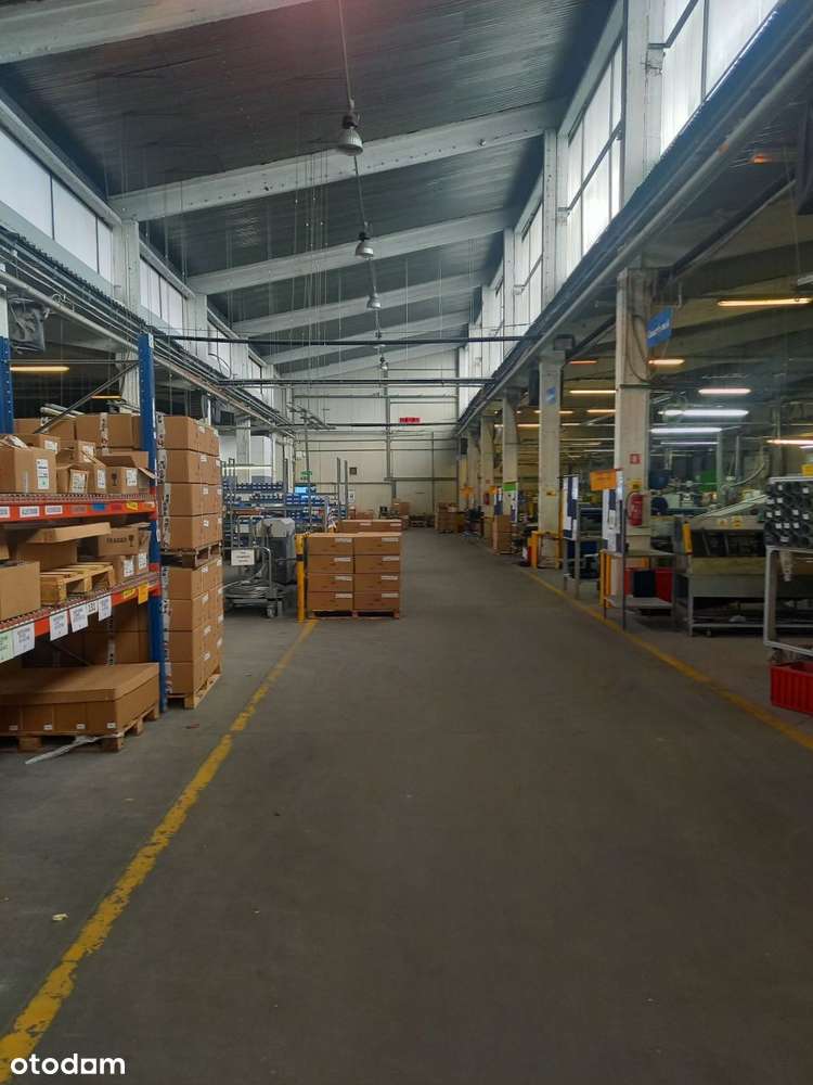 Hala Magazynowo Produkcyjna - Pełny obrazek: 5/11