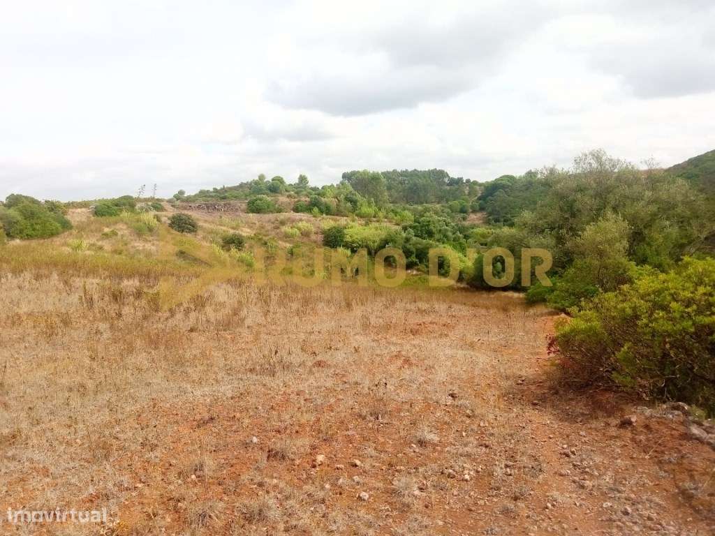 Terreno rústico em Abrigada - Grande imagem: 4/8
