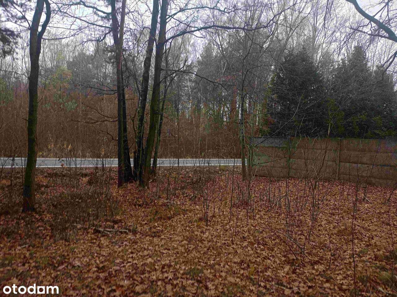 Działka usługowo-budowlana z przeznaczeniem na parking lub budowę domu-13