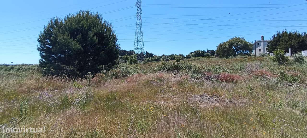 Terreno Rústico – Palmela-5