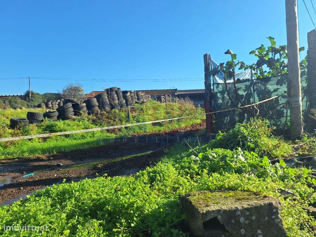 Casa Senhorial em Fradelos- vila nova de Famalicão - Grande imagem: 4/20