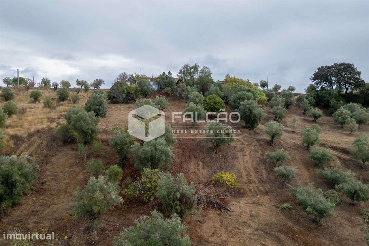 Moradia para Restaurar T2+2 Venda em Casével e Vaqueiros,Santarém-11