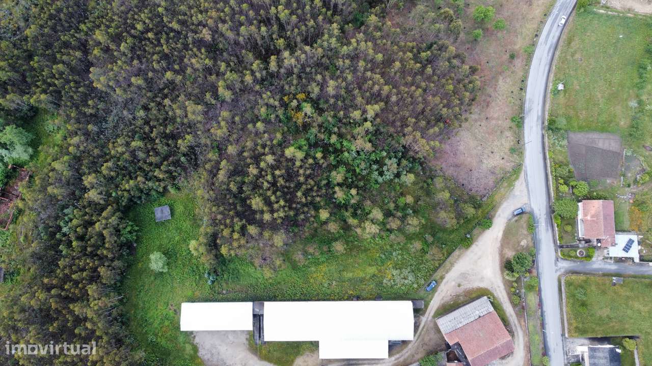 Terreno p/ construção - Oliveira de Frades - Grande imagem: 5/6