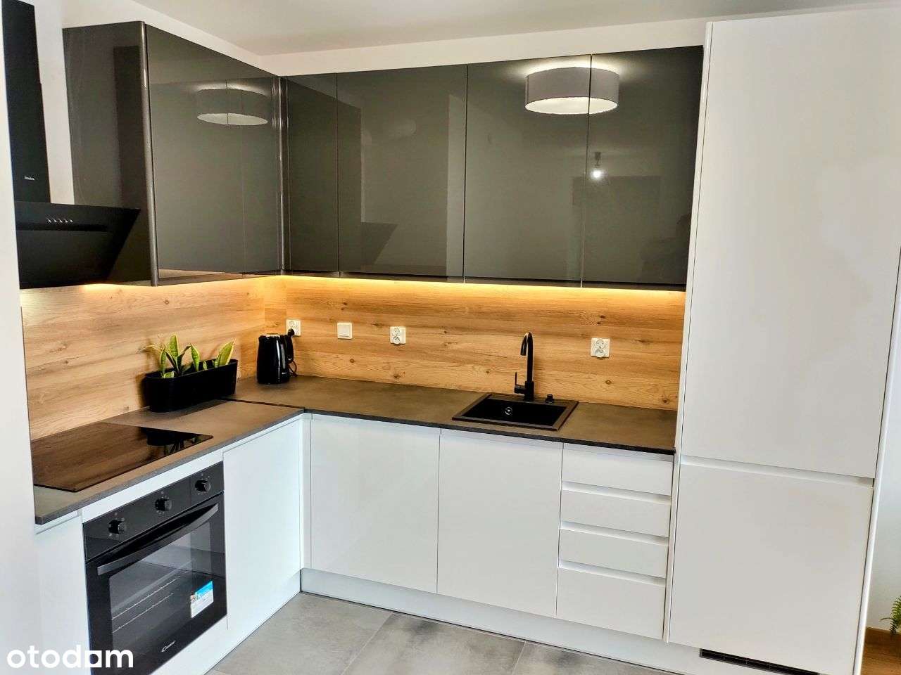 Apartment in wroclaw - More