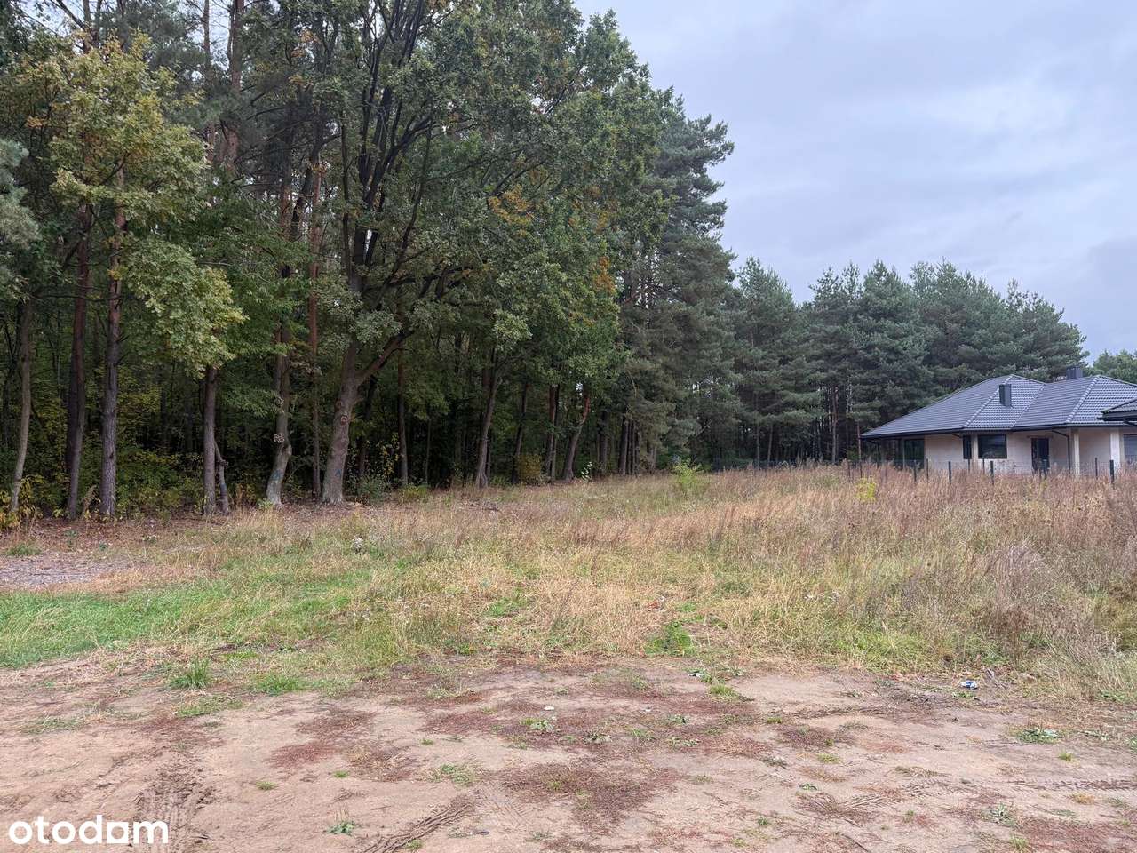 Działka Serock Marynino ulica Cedrowa-1