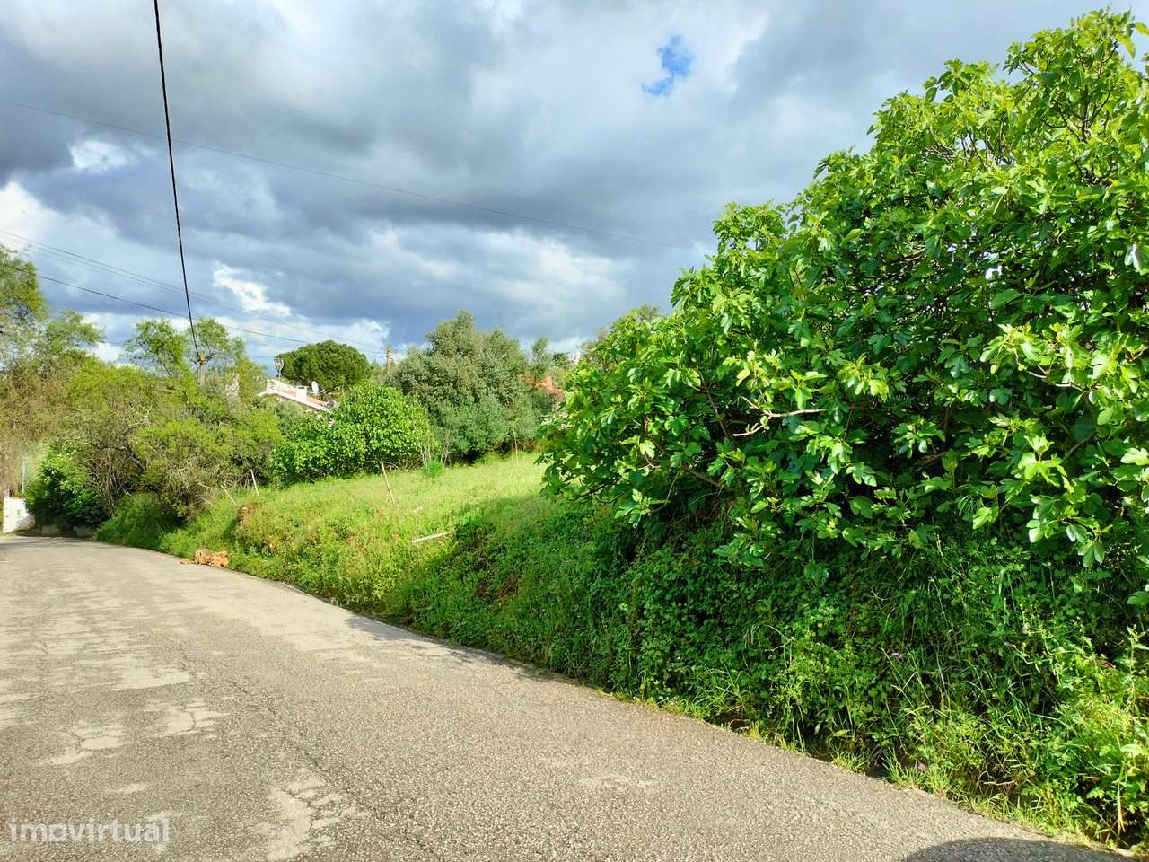 Terreno para Construção em Centro da Aldeia - Grande imagem: 2/6