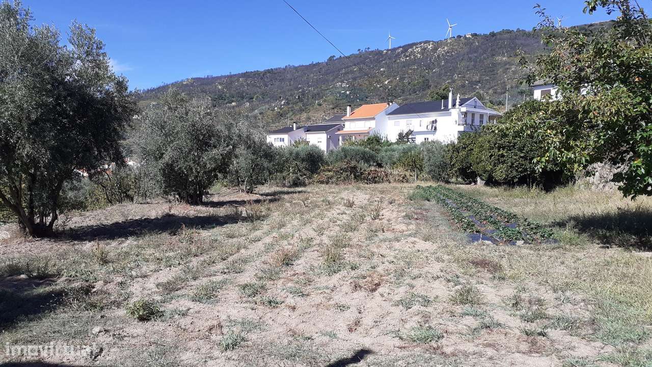 Terreno  Venda em Gonçalo,Guarda-1