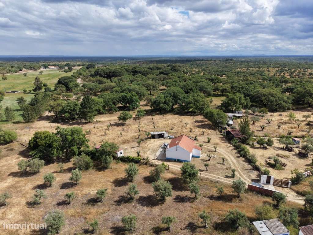 QUINTA (4.500 m2)-21