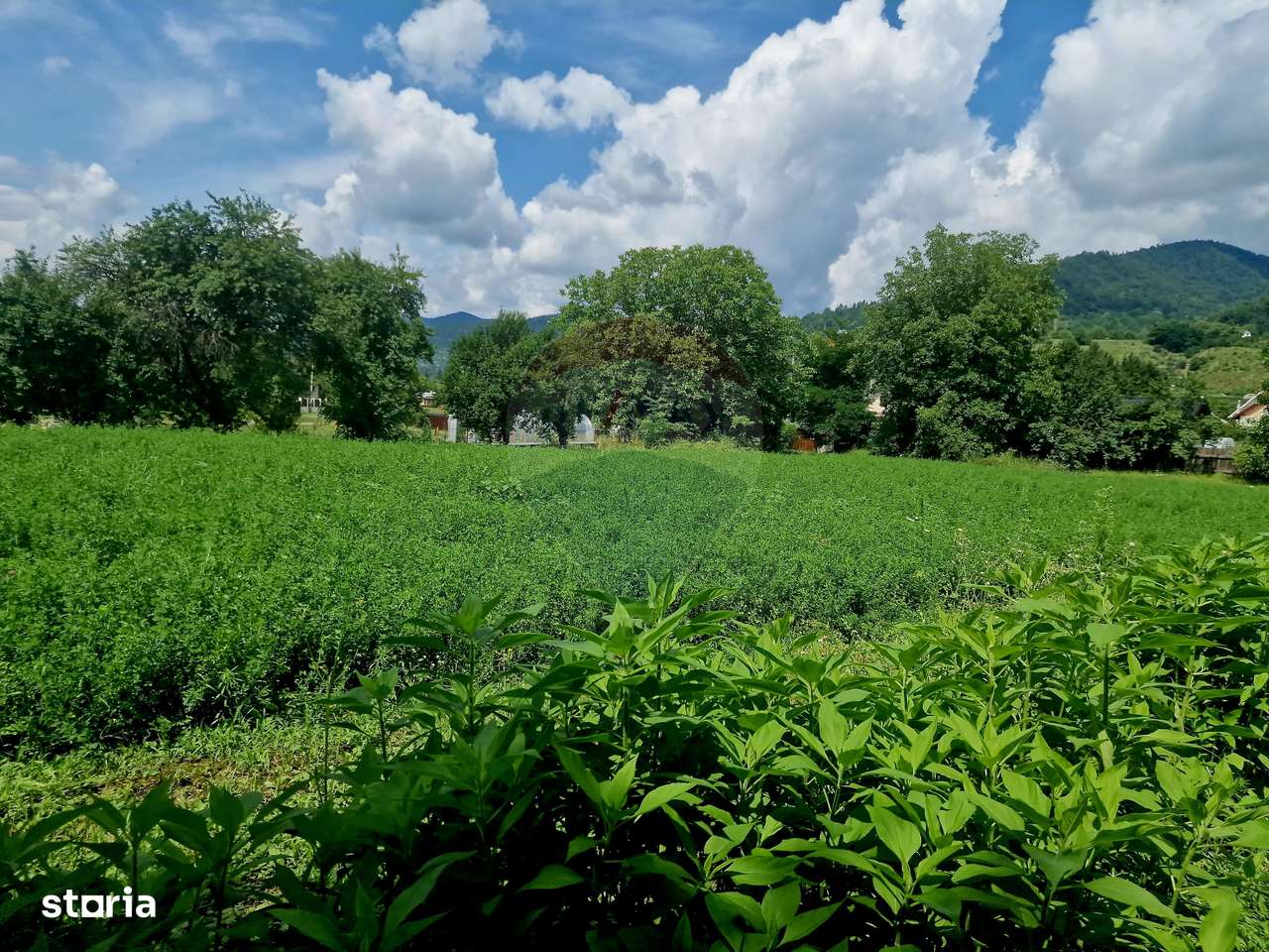 Teren 2743 mp, 2 fronturi, asfalt – Viișoara, Neamț - Imagine principală: 5/20