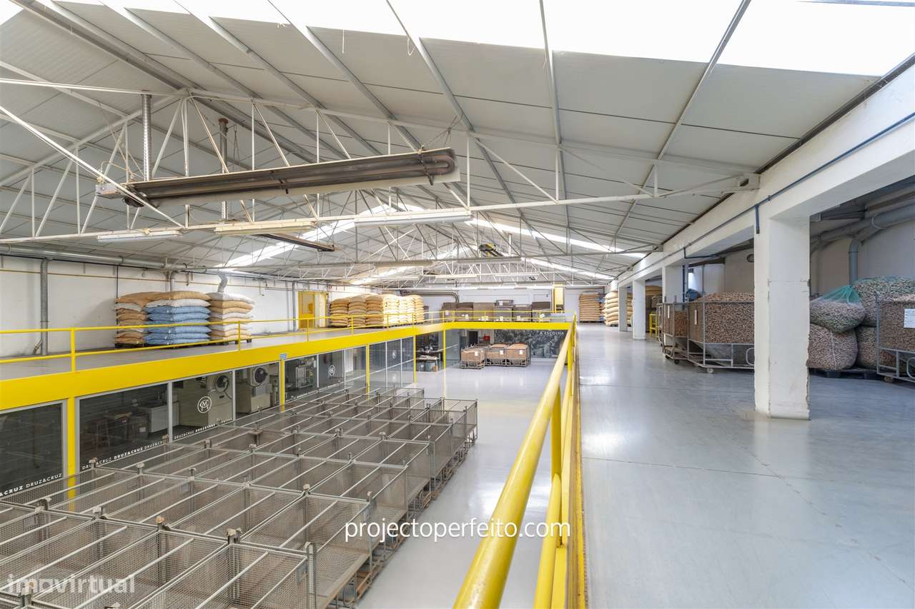 Fábrica/Indústria  Arrendamento em Lourosa,Santa Maria da Feira - Grande imagem: 5/38