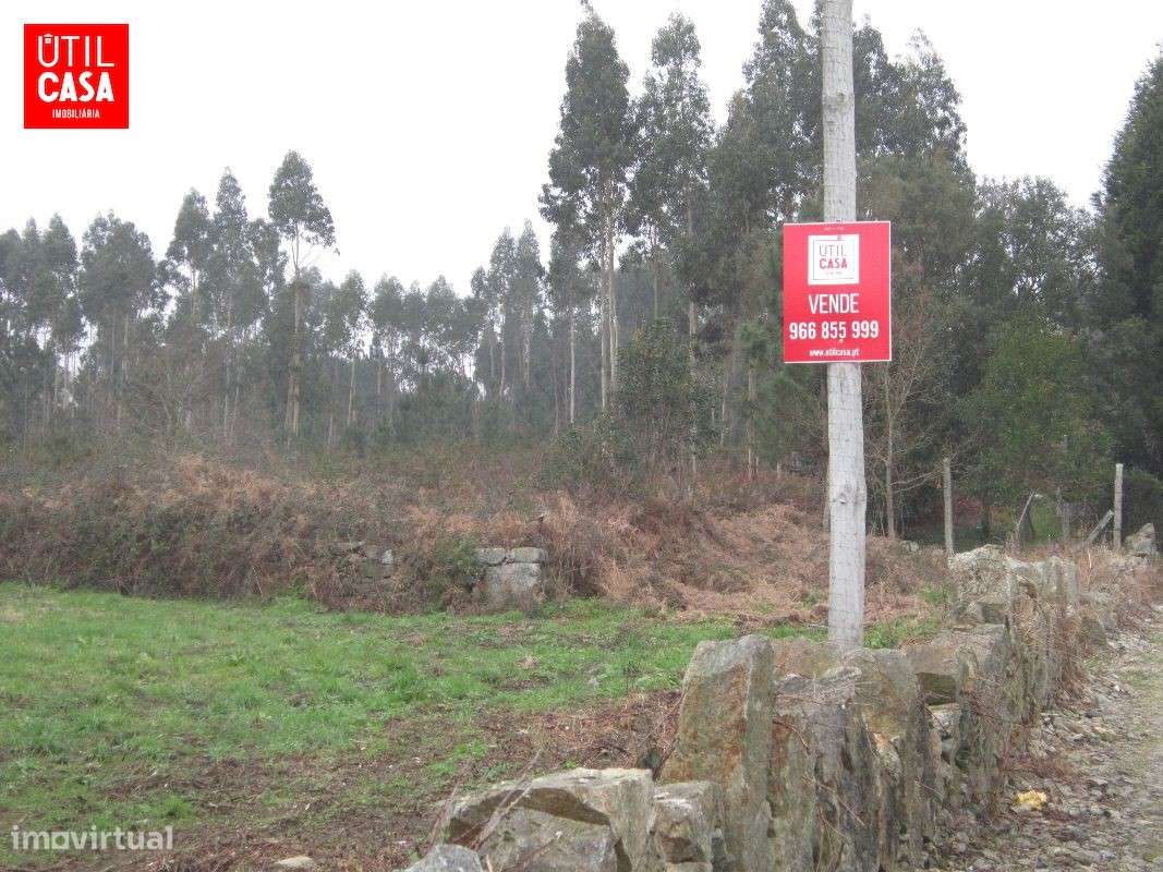 Terreno em Fragoso - Zona Industrial - Grande imagem: 5/5