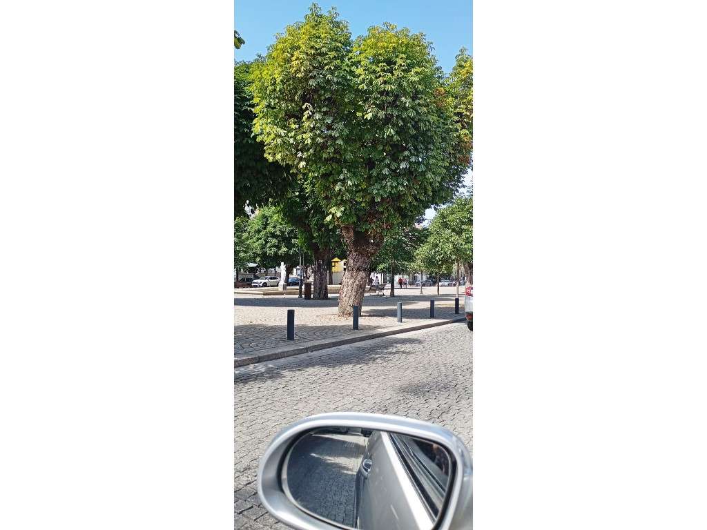 4 Frações para Venda | Centro de Lamego-10