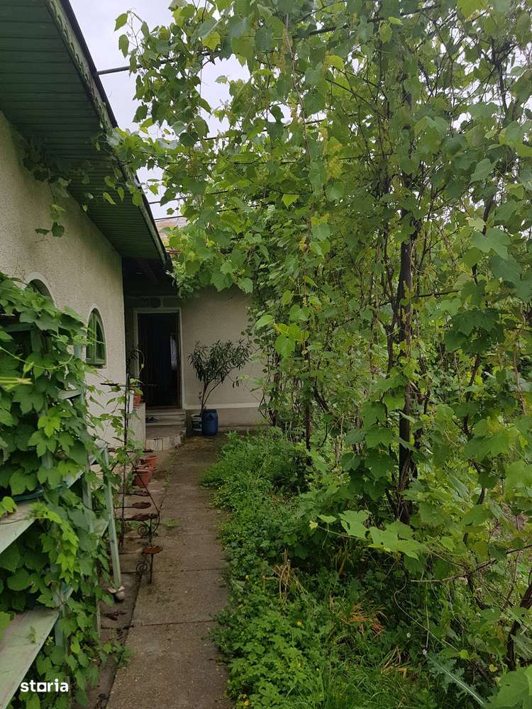 Casă de vânzare – 6 camere, 2000 mp teren, zona verde – Bilciurești - Imagine principală: 5/20