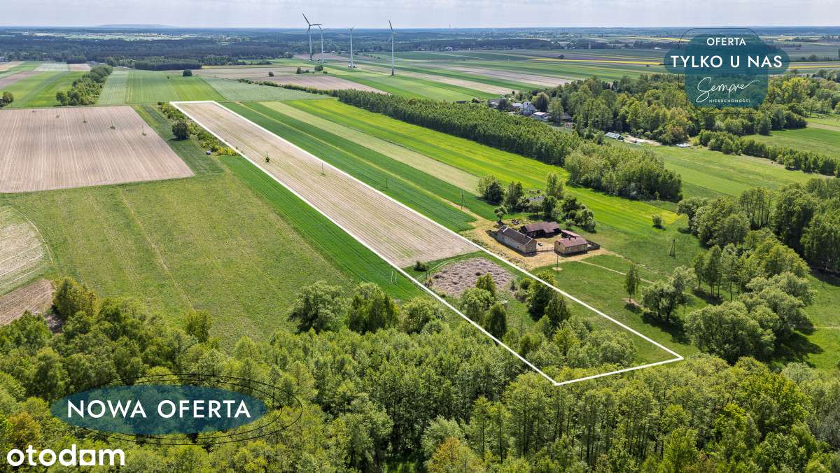 Działka rolna na sprzedaż - Pełny obrazek: 2/10