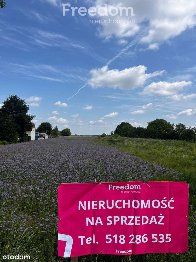 Działka usługowo-produkcyjna Świdnik Duży Drugi - Pełny obrazek: 4/4