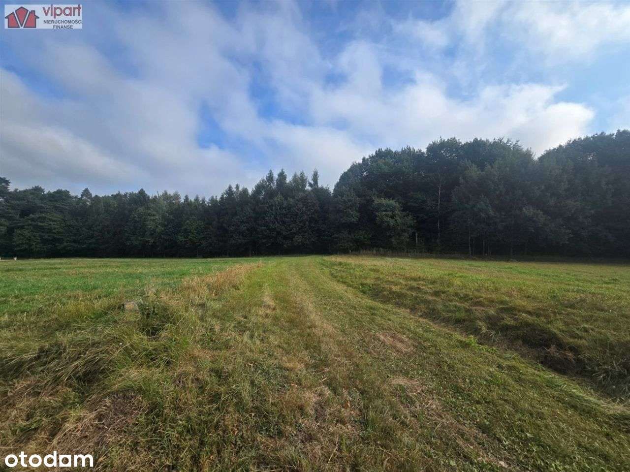 Do sprzedania działka ul. Młyńska/Wiosny Ludów - Pełny obrazek: 4/8