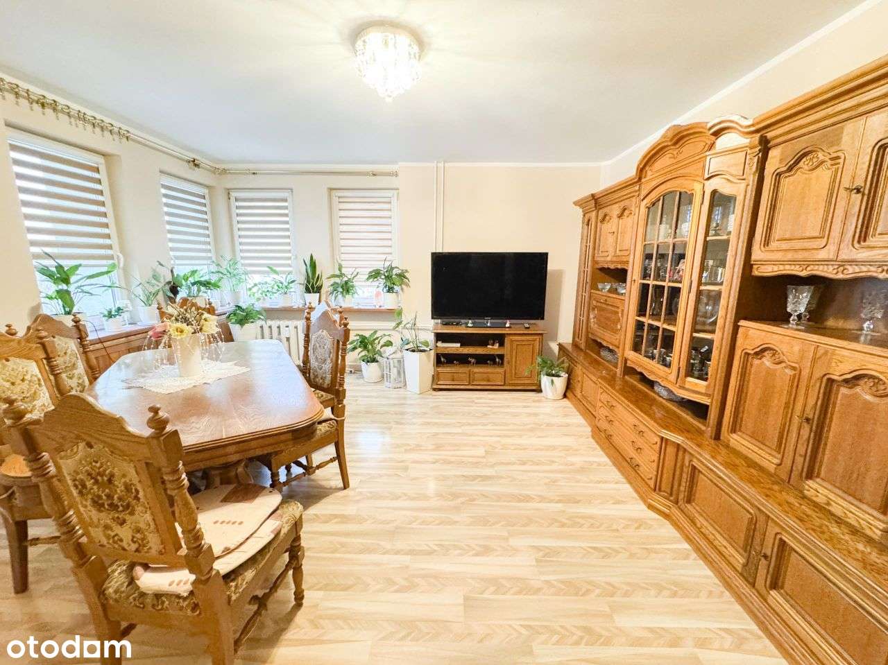 Oferta sprzedaży mieszkania w centrum Szczecina-1