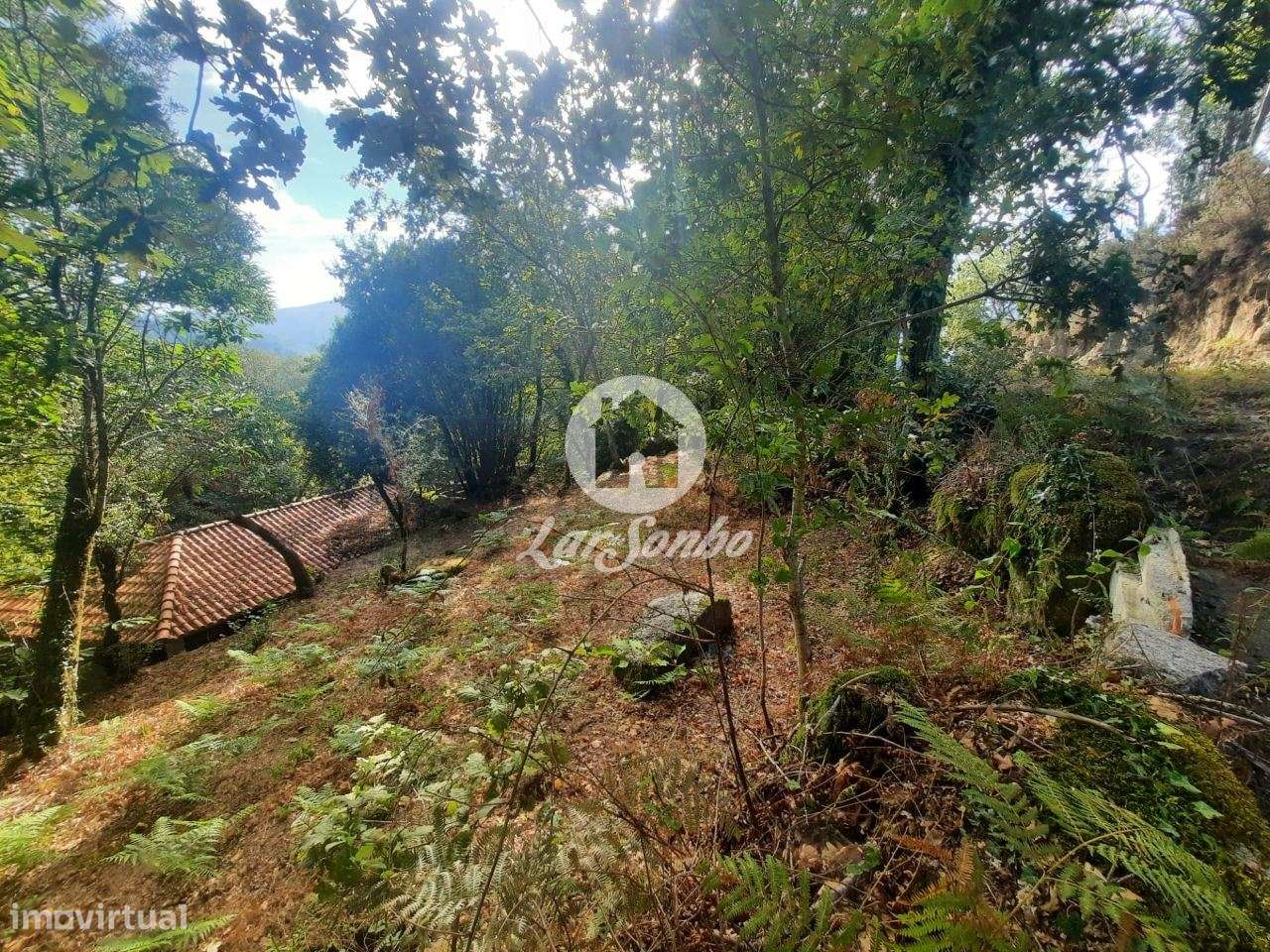 Moradia em Pedra para Restaurar em Moreira do Rei, Fafe-8