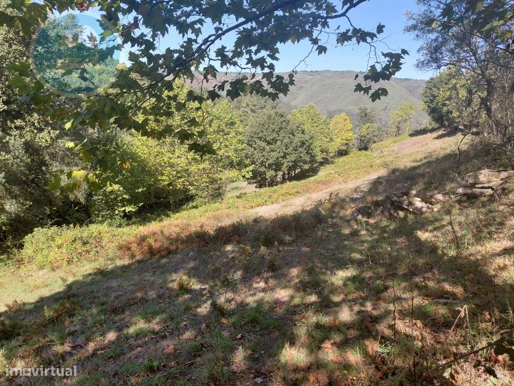 Casa Rústica em Pedra com Terreno para Restauro - Cambeses, Cabecei...-43