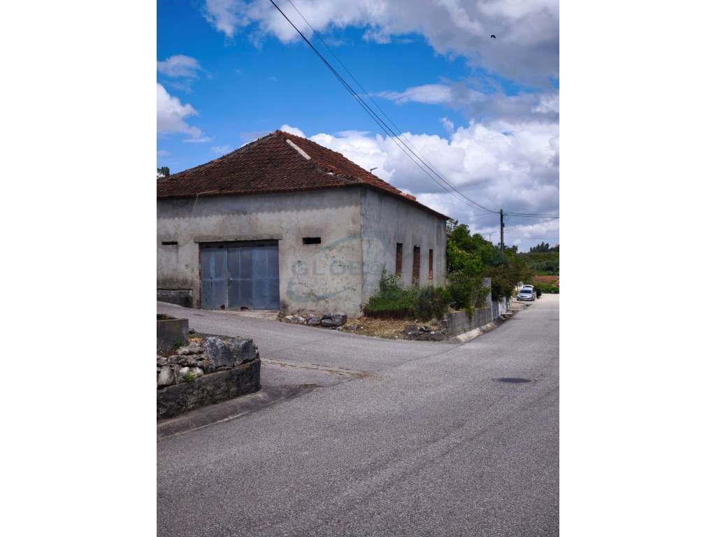 Imóvel a servir de barracão em aldeia junto a Torres Novas-3
