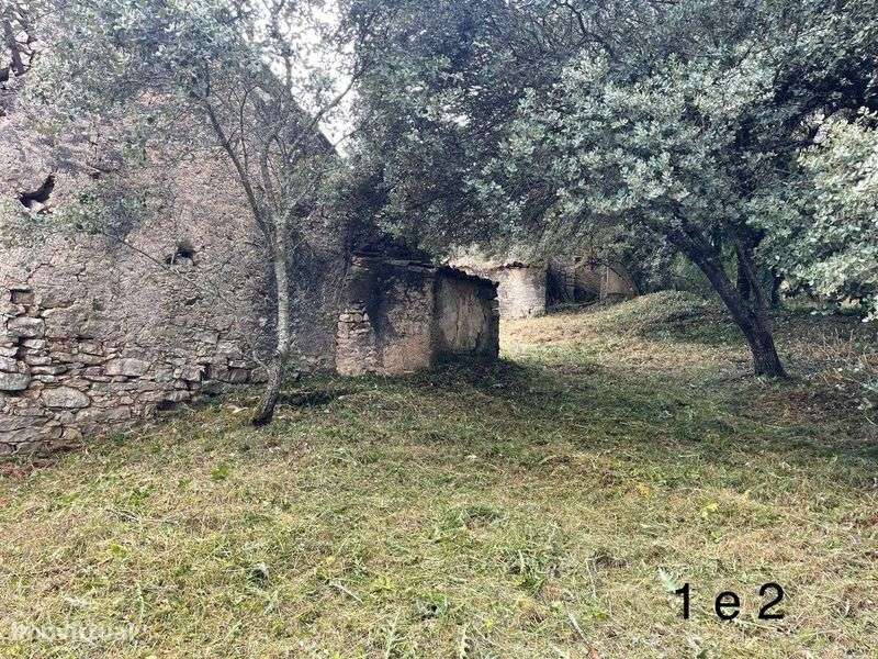 Terreno com duas ruinas - Grande imagem: 4/12