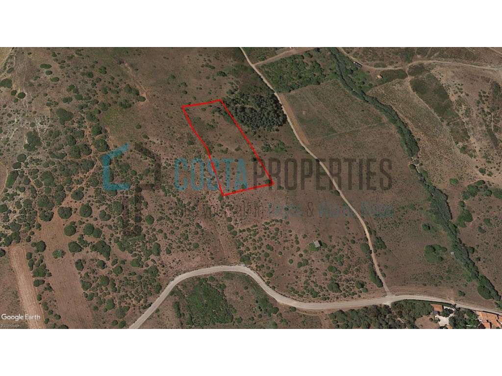 Terreno rústico de 6.720 m2 Virado a Sul - Grande imagem: 3/8