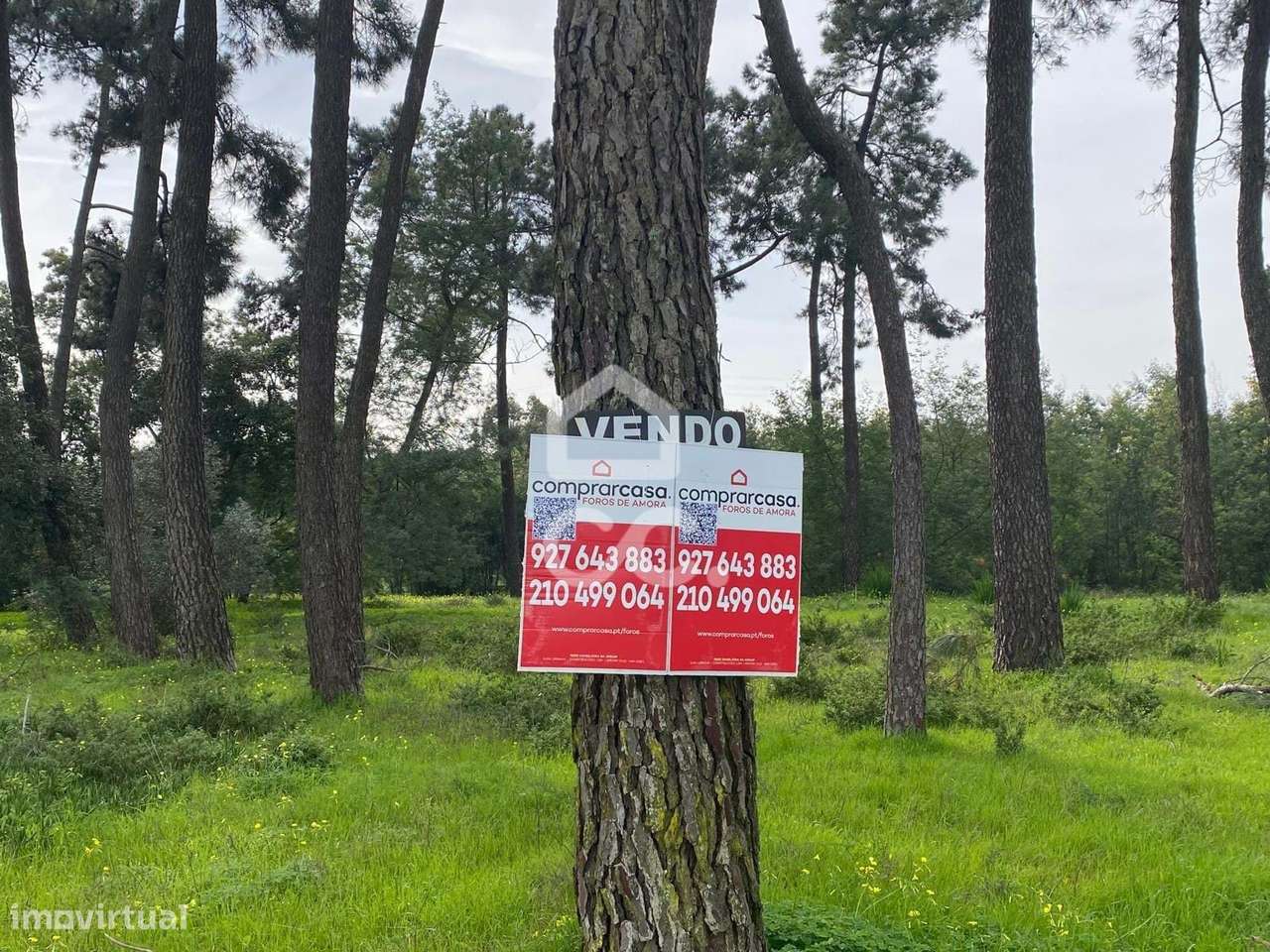 Terreno urbano para Venda - Penalva (Coina) - Grande imagem: 5/6