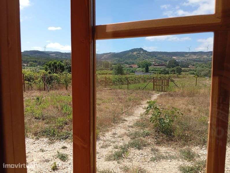 Terreno com abrigo de madeira - Grande imagem: 4/11