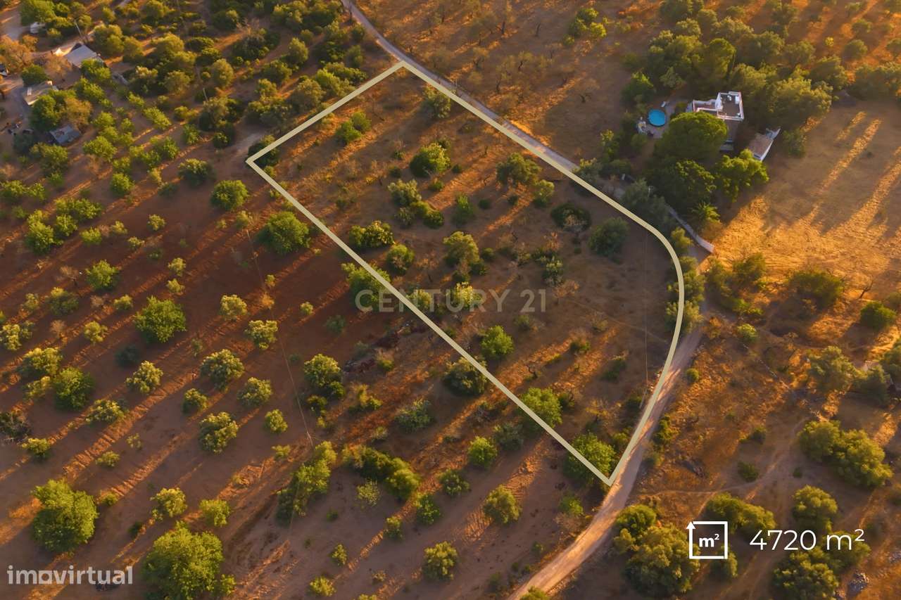 ✅ Terreno Rústico com 4.720 m² – Acessos Excelentes e Potencial Extrao-4