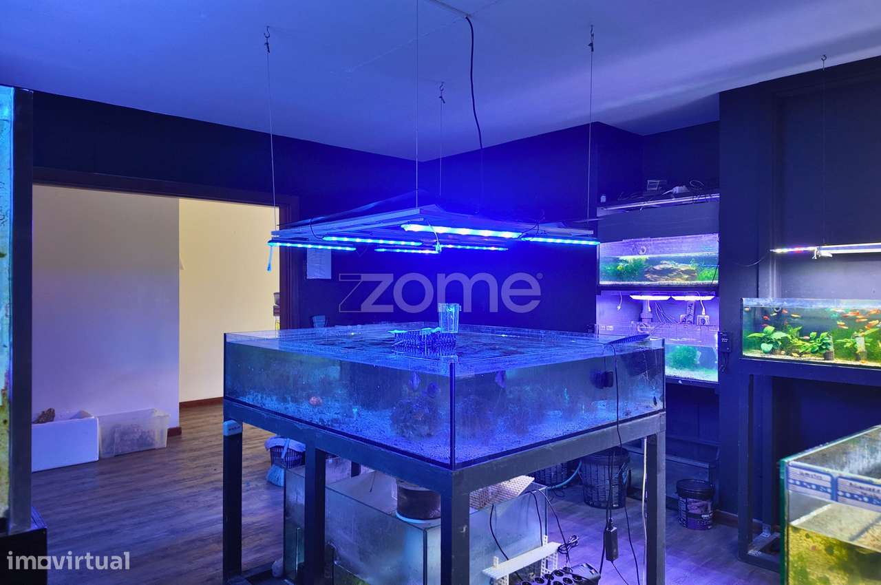 Trespasse de Loja na Maia – Excelente Oportunidade - Grande imagem: 4/16