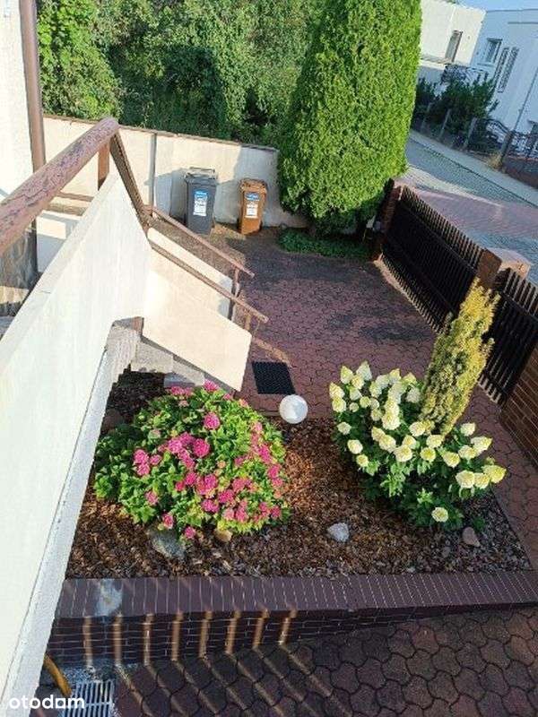 Dom, 160 m², Poznań-5