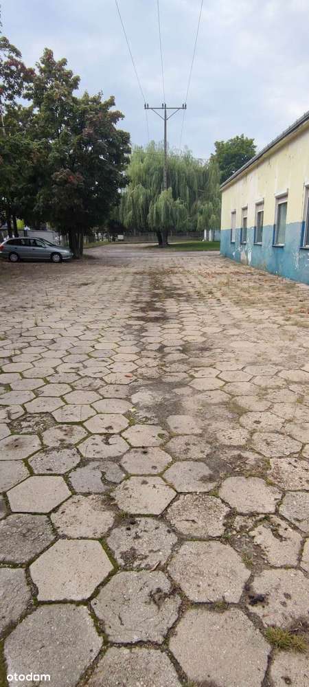 Działka przemysłowa 14 320m²● Duże natężenie ruchu● Sprzedaż bez PCC-3