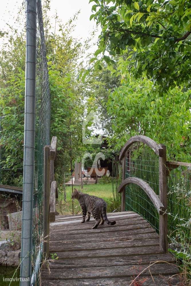 Quinta com moradia charmosa a poucos minutos do centro de Chaves-20