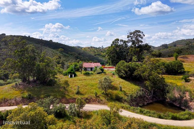 Charmosa Quinta com 4 Hectares à venda na idílica Salto - São Bartolom-29