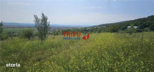Teren de vanzare in Micesti cu suprafata generoasa-0