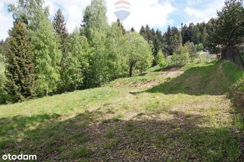 Działka budowlana - Nowy Targ, Oleksówki - Pełny obrazek: 4/15