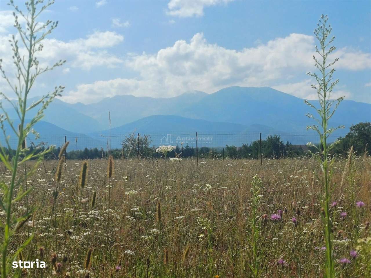 Teren intravilan de vanzare cu fantana si curent electric pe teren - Imagine principală: 2/6