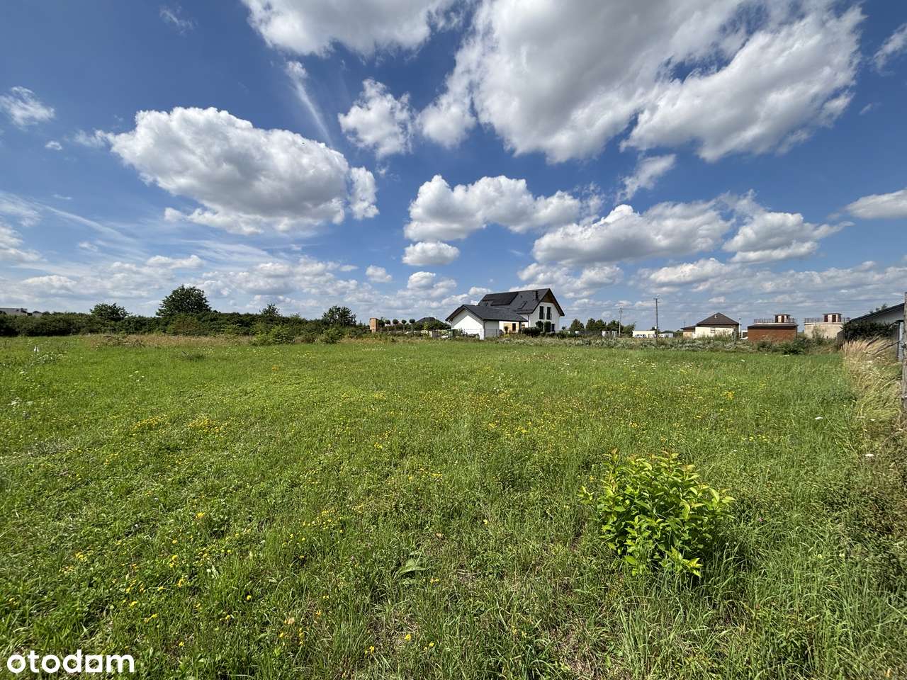 Chorzelów I 10,79a I WZ I świetna lokalizacjia I okazyjna cena!-0