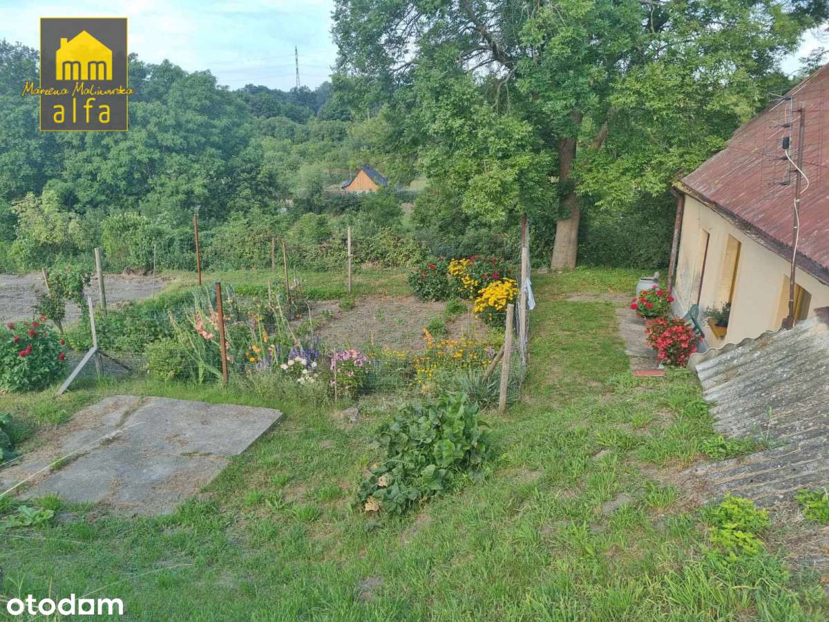 Nowe*Nowy Świat*Działka 3773m2*OD Zaraz-13