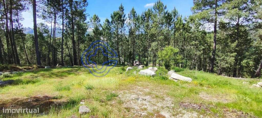 Terreno de 2545 m2   | Com Ruina Moradia T2 e Anexo | Gondomil e Saf - Grande imagem: 2/44