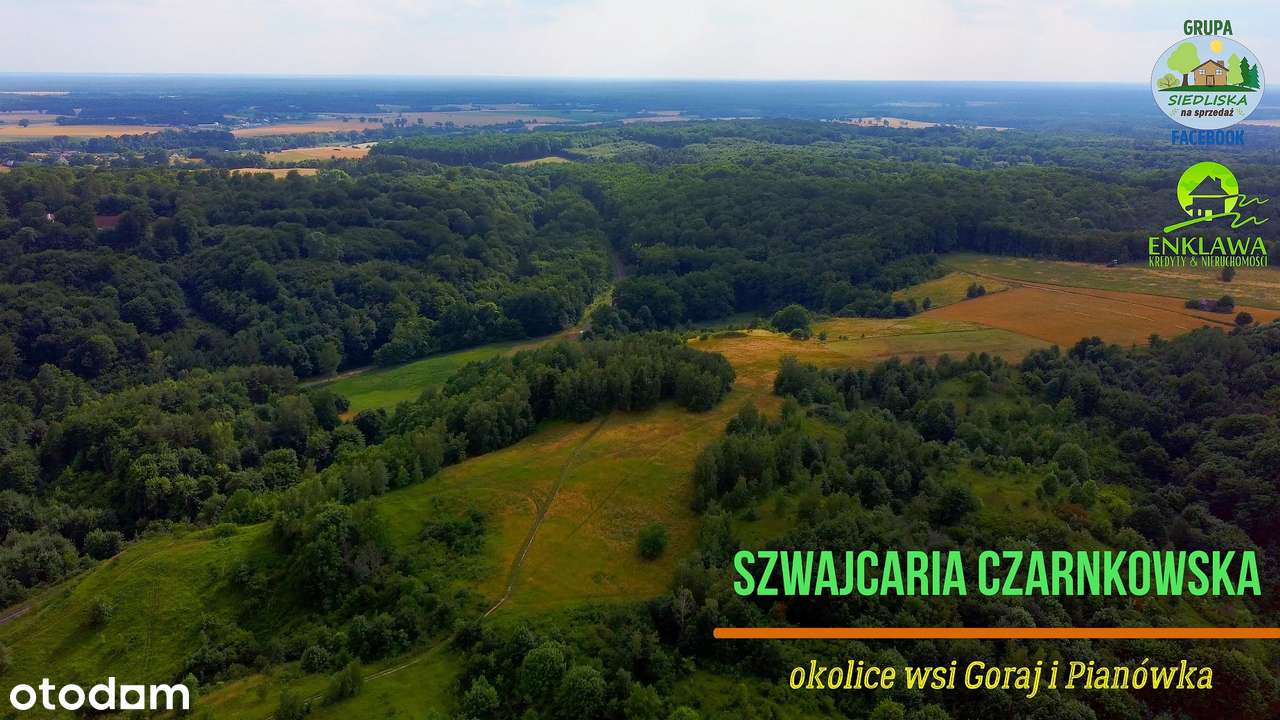 ENKLAWA prezentuje: działka w MEGA okolicy! PUSZCZA NOTECKA + jezioro!-17