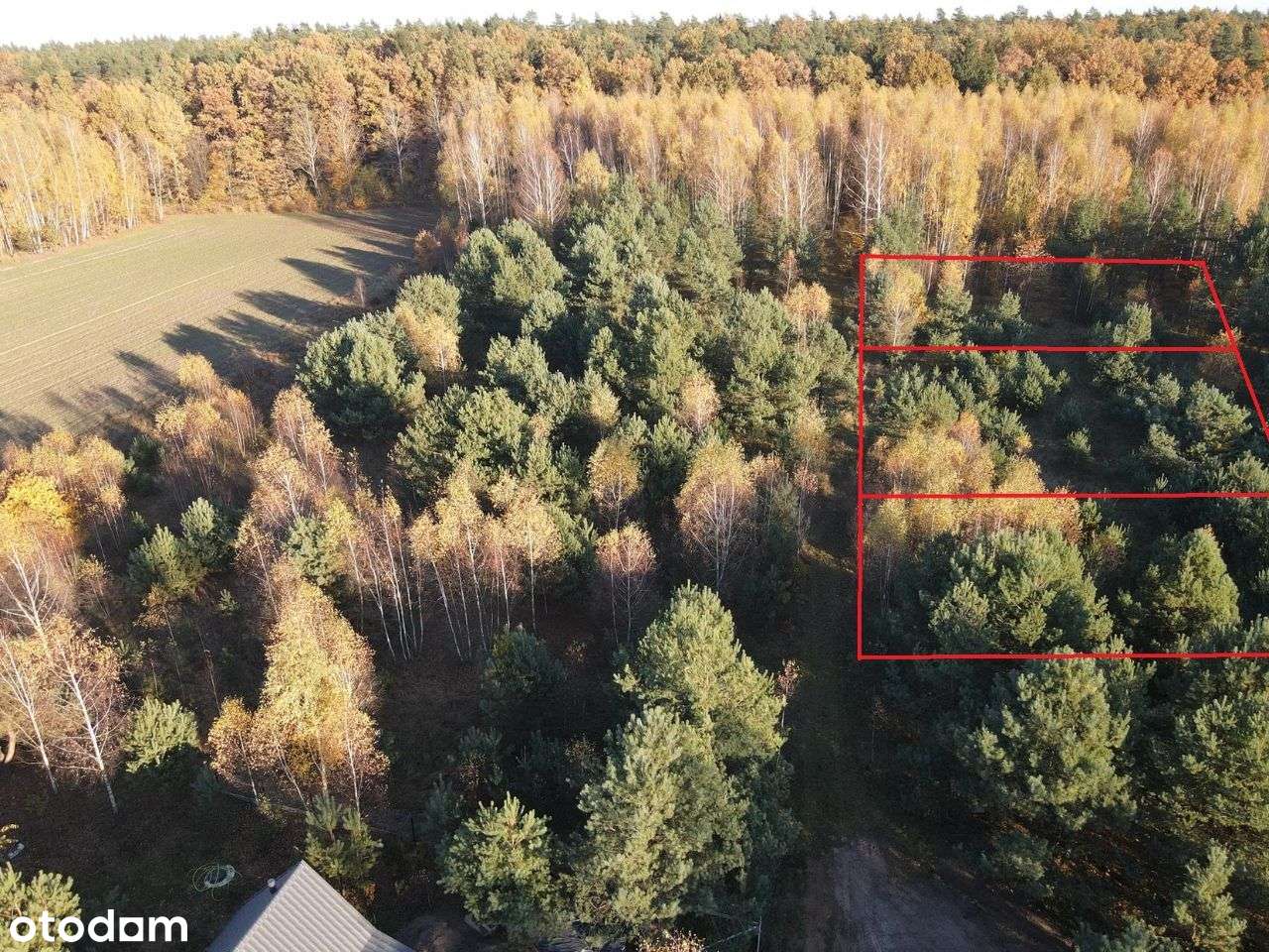 Działki budowlane przy Puszczy Białowieskiej! #2 - Pełny obrazek: 4/16