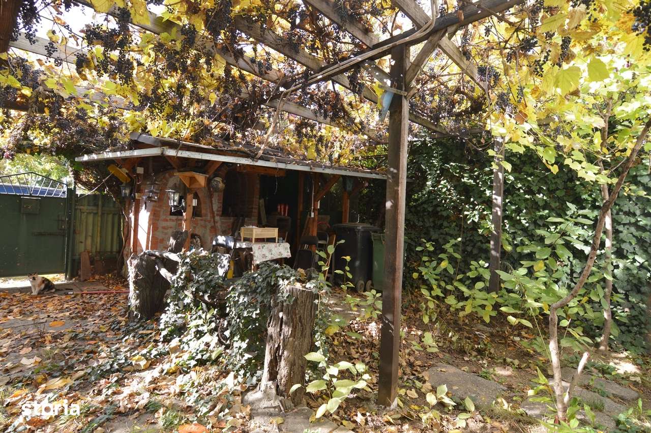 Garsoniera Baba Novac | Curte Generoasa | Localizare Excelenta - Imagine principală: 5/20