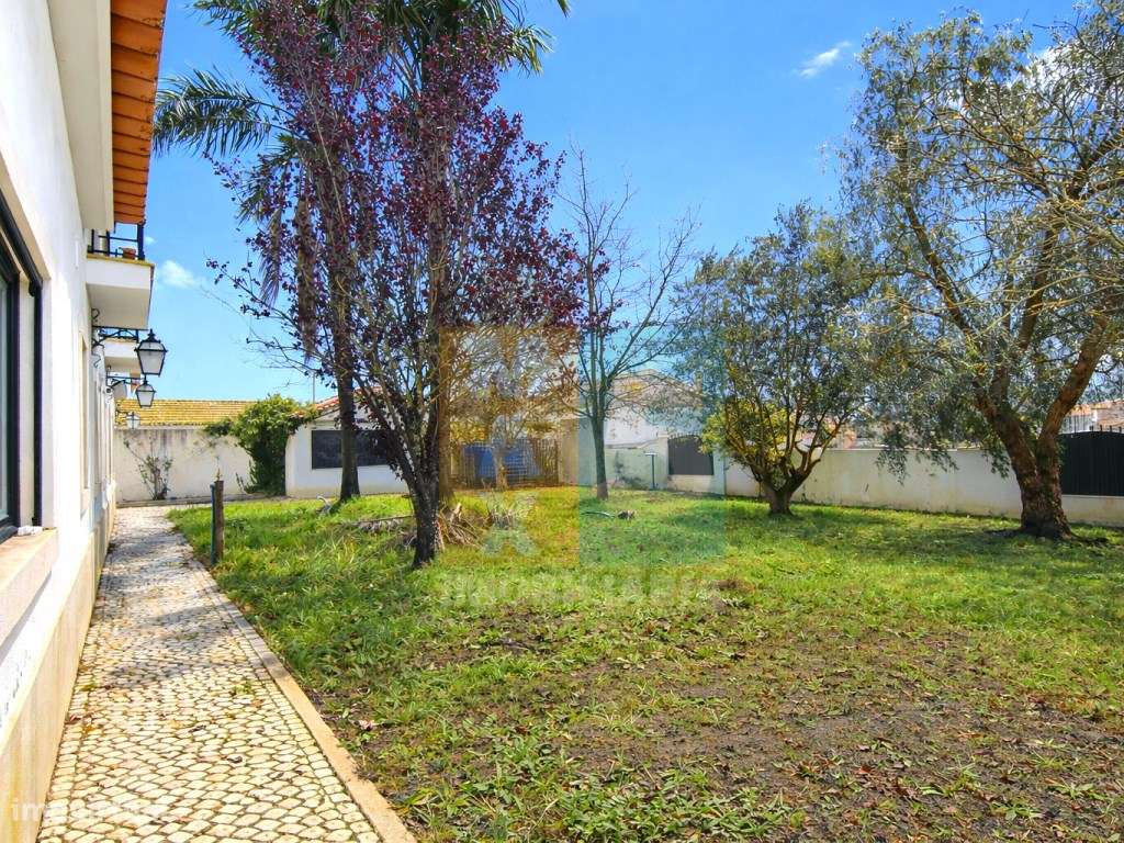 Quinta com 4.880 m2 - Alpiarça-41