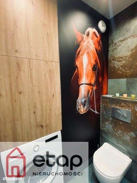 Nowoczesne, w sercu Jeżyc-5