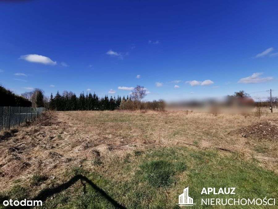 Działka  2417m2 z WZ w Łomnicy - Pełny obrazek: 4/5