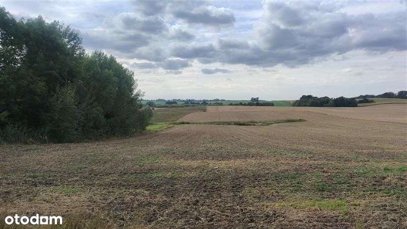 DE FACTO NIERUCHOMOŚCI - DZIAŁKA W MIEJSCOWOŚCI LEPNO, RYCHLIKI-3