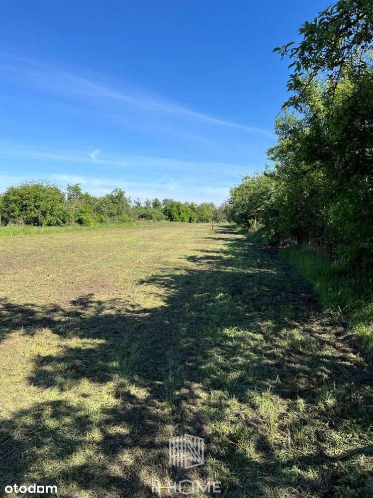 działka 5513m2 dla inwestora/Poświętne - Pełny obrazek: 4/8