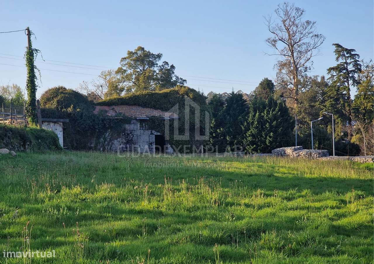 Terreno e Casa em Ruínas para Construção – Irivo, Penafiel-10